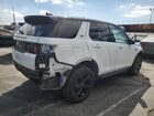 2020 Land Rover Discovery Sport Se Белый vin: SALCP2FX4LH861088