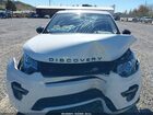 2019 Land Rover Discovery Sport Hse/landmark Edition Белый vin: SALCR2FX6KH795457