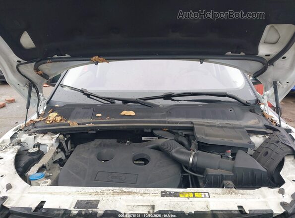 SALVP2BG2GH079179 2016 LAND ROVER RANGE ROVER EVOQUE Белый Вид сзади