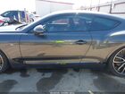 2020 Bentley Continental Gt First Edition/w12 Gray vin: SCBCB2ZGXLC076608