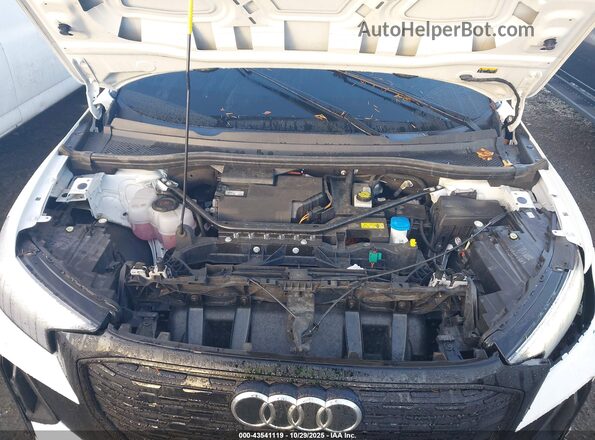 WA122BFZ6RP026444 2024 AUDI Q4 Белый Вид сзади