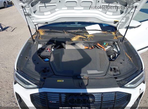 WA13AAGE5NB037150 2022 AUDI E-TRON Белый Вид сзади