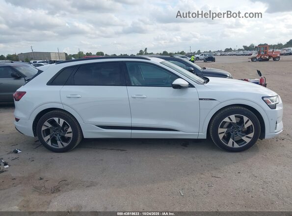 WA1AAAGE3MB019445 2021 AUDI E-TRON Белый Вид задней части салона