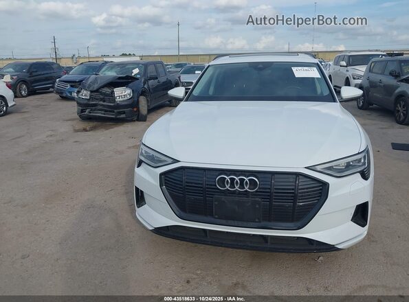 WA1AAAGE3MB019445 2021 AUDI E-TRON Белый Вид щитка приборов