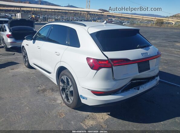 WA1AAAGE4MB022810 2021 AUDI E-TRON White Tył lewy