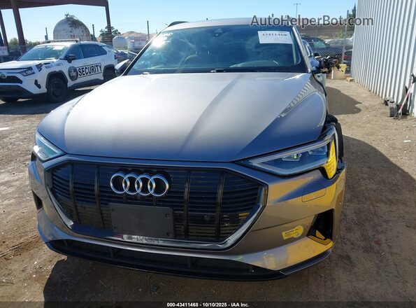 WA1AAAGE7NB006134 2022 AUDI E-TRON Gray Rear interior view