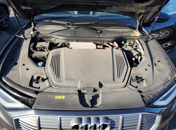 WA1AAAGE9MB005436 2021 AUDI E-TRON Gray Widok komory silnika