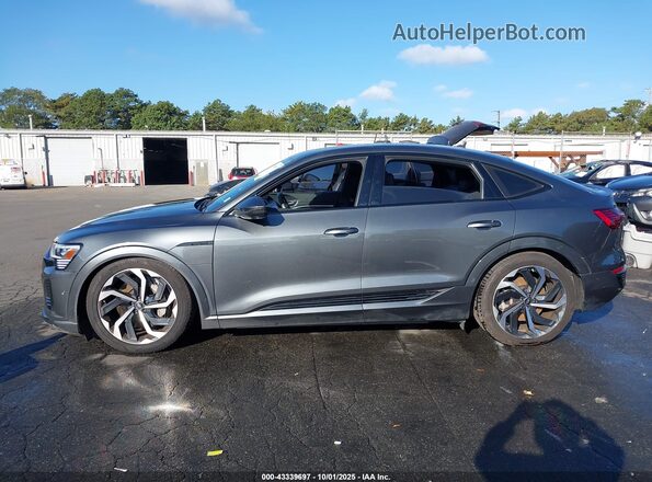 WA1CAAGE3RB063395 2024 AUDI Q8 E-TRON Серый 