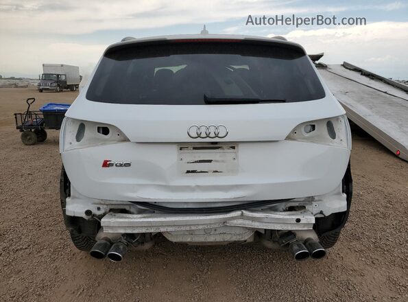 WA1CCAFP2GA126566 2016 AUDI SQ5 White Widok z tyłu