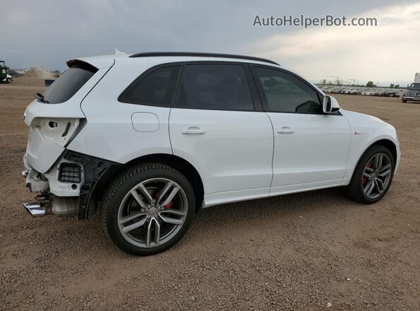 WA1CCAFP2GA126566 2016 AUDI SQ5 White Tył prawy