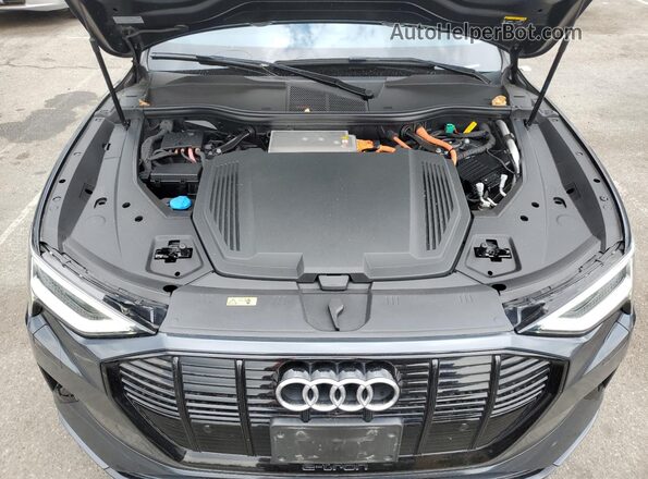 WA1LAAGE2MB004265 2021 AUDI E-TRON Gray Vista interior trasera