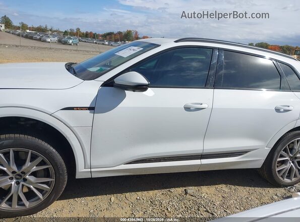 WA1VAAGE8MB038896 2021 AUDI E-TRON Белый 
