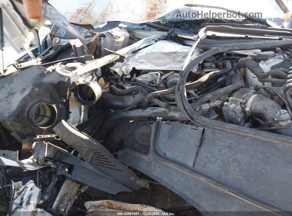 WAUB4CF54KA016729 2019 AUDI S5 Белый Вид сзади