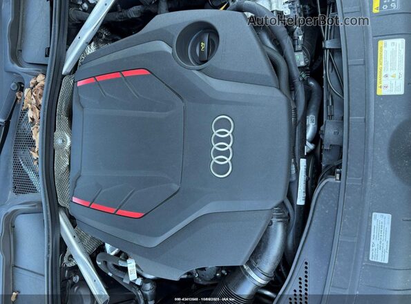 WAUC4CF52RA043149 2024 AUDI S5 Черный Вид сзади