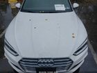 2019 Audi A5 45 Premium White vin: WAUENCF57KA070780