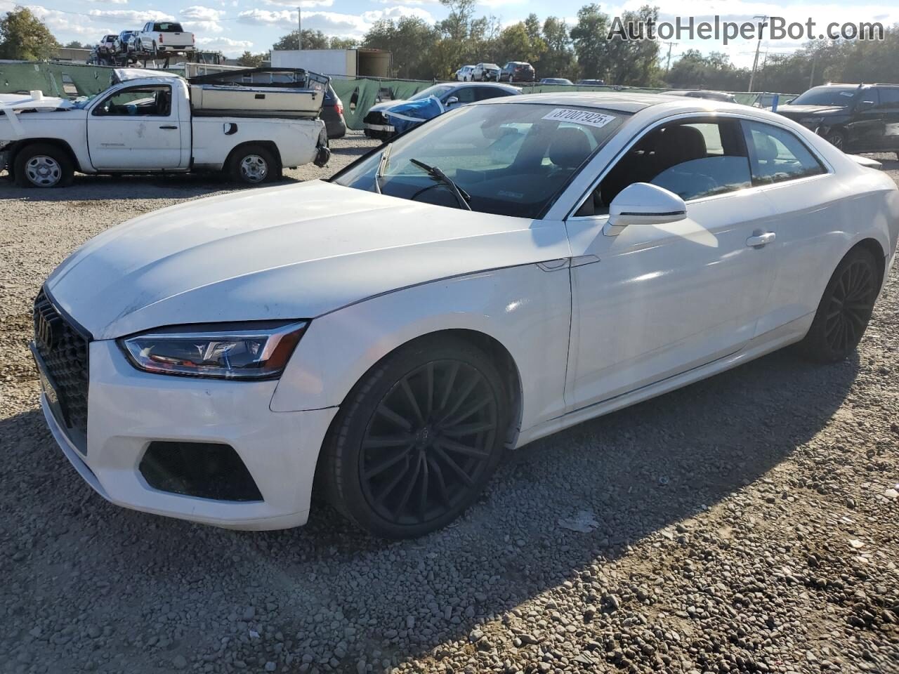 no photo