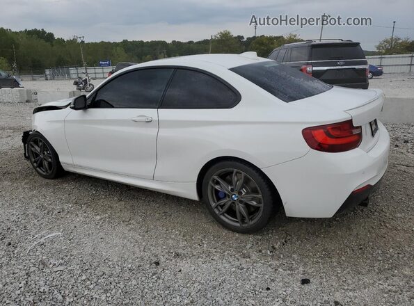 WBA1J7C55GV289744 2016 BMW M2 Белый Задняя левая четверть
