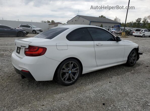 WBA1J7C55GV289744 2016 BMW M2 Белый Задняя правая четверть