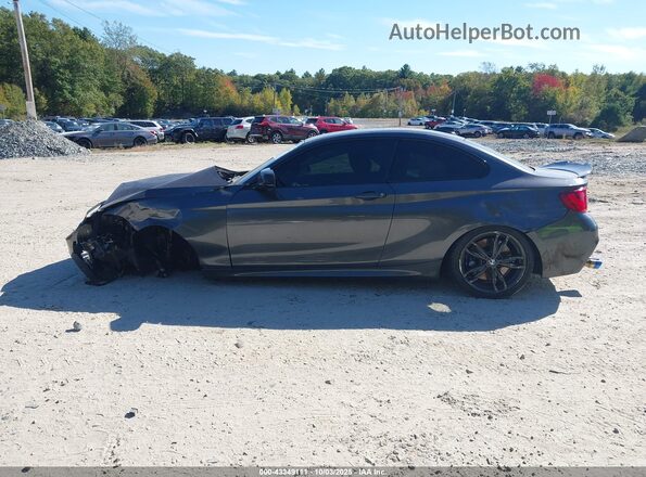 WBA2G3C34H7A25384 2017 BMW M2 Серый 