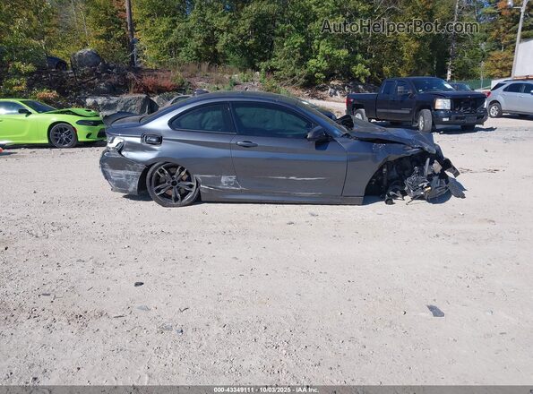 WBA2G3C34H7A25384 2017 BMW M2 Серый Панорамный вид салона 360°