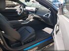 2026 Bmw M440i   Black vin: WBA73DA0XTCU95934