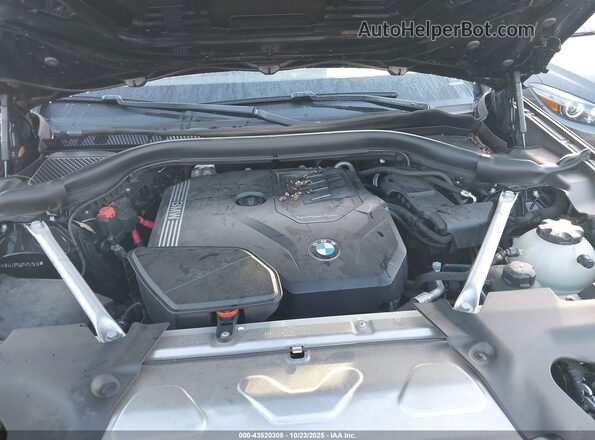 WBX47DP00PN242510 2023 BMW X3 Черный Вид сзади