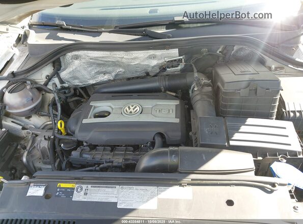 WVGAV7AX1GW509026 2016 VOLKSWAGEN TIGUAN Белый Вид сзади