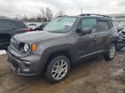 2020 Jeep Renegade Latitude Серый vin: ZACNJBBB9LPL29675