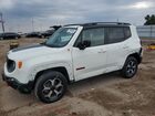 2020 Jeep Renegade Trailhawk White vin: ZACNJBC14LPL73928