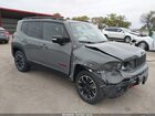 2023 Jeep Renegade Trailhawk 4x4 Gray vin: ZACNJDC14PPP14181