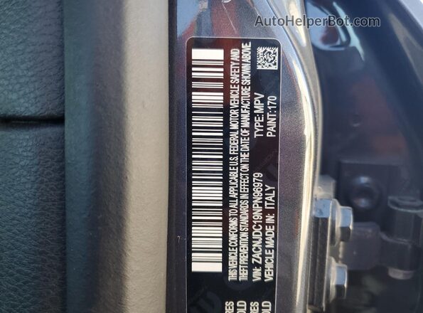ZACNJDC19NPN96979 2022 JEEP RENEGADE Угольный Вид наклейки с VIN-кодом