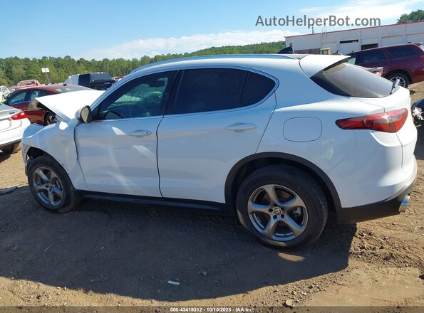 ZASPAJAN0M7D00380 2021 ALFA ROMEO STELVIO Белый Панорамный вид салона 360°