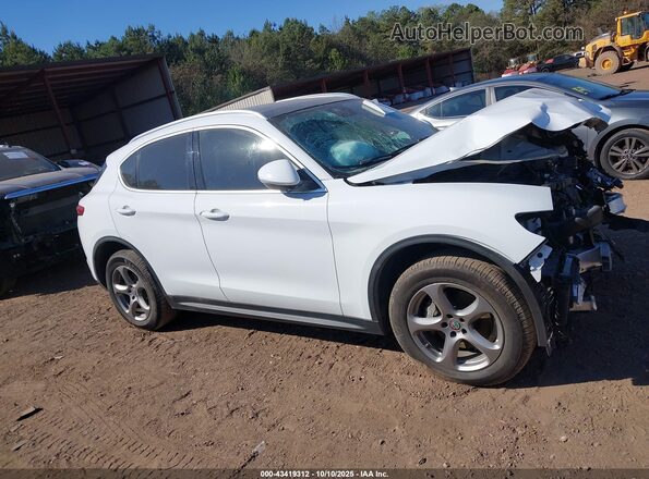 ZASPAJAN0M7D00380 2021 ALFA ROMEO STELVIO Белый Вид задней части салона
