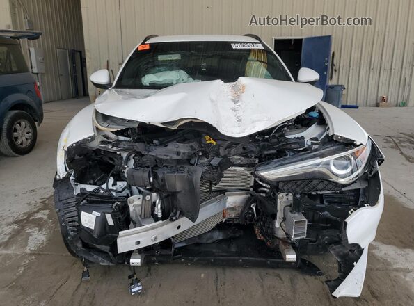 ZASPAJAN5N7D28208 2022 ALFA ROMEO STELVIO White Widok z tyłu