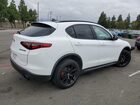 2020 Alfa Romeo Stelvio Белый vin: ZASPAKAN6L7C76056