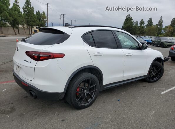ZASPAKAN6L7C76056 2020 ALFA ROMEO STELVIO Белый Задняя правая четверть