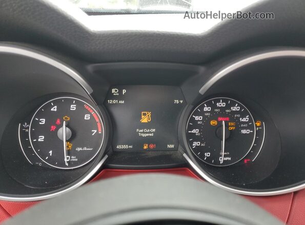 ZASPAKAN6L7C76056 2020 ALFA ROMEO STELVIO Белый Вид щитка приборов
