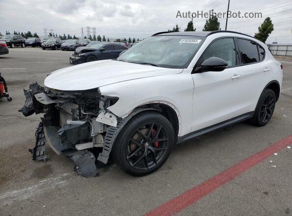 ZASPAKAN6L7C76056 2020 ALFA ROMEO STELVIO Белый Передняя левая четверть