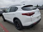 2020 Alfa Romeo Stelvio Белый vin: ZASPAKAN6L7C76056