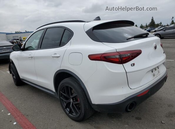 ZASPAKAN6L7C76056 2020 ALFA ROMEO STELVIO Белый Задняя левая четверть