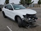 2020 Alfa Romeo Stelvio Белый vin: ZASPAKAN6L7C76056