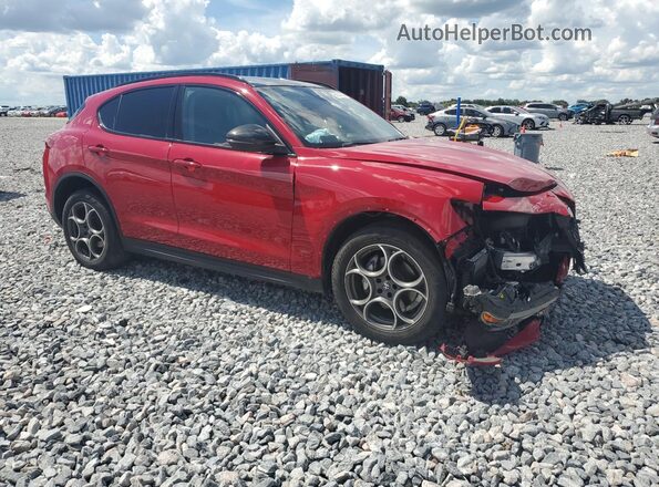 ZASPAKAN6M7D11261 2021 ALFA ROMEO STELVIO Красный Передняя правая четверть