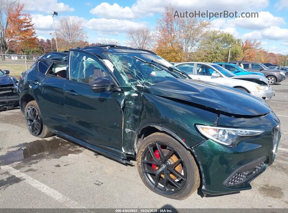 ZASPAKBN4M7D15730 2021 ALFA ROMEO STELVIO Зеленый Вид спереди