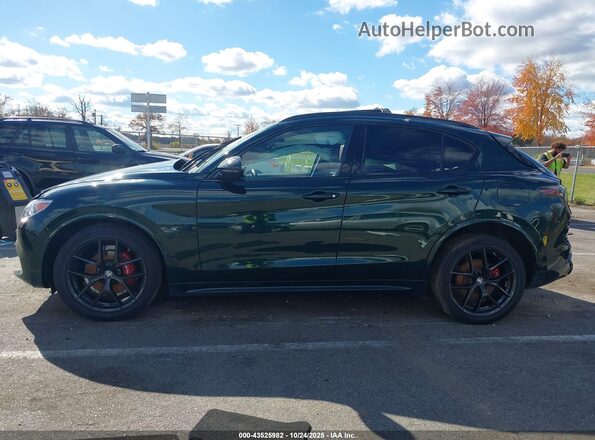 ZASPAKBN4M7D15730 2021 ALFA ROMEO STELVIO Зеленый Панорамный вид салона 360°