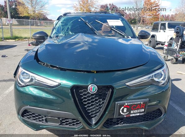 ZASPAKBN4M7D15730 2021 ALFA ROMEO STELVIO Зеленый Вид щитка приборов