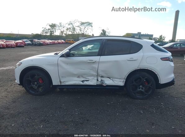 ZASPAKBN8R7D84301 2024 ALFA ROMEO STELVIO White Widok wnętrza 360 stopni