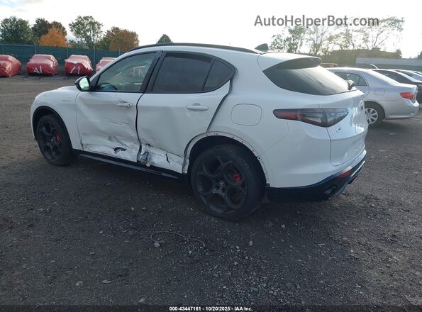 ZASPAKBN8R7D84301 2024 ALFA ROMEO STELVIO White Tył lewy