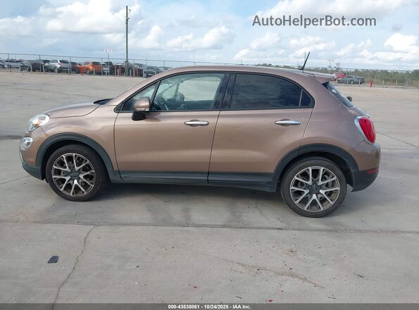 ZFBCFXCB5HP605770 2017 FIAT 500X Коричневый Панорамный вид салона 360°