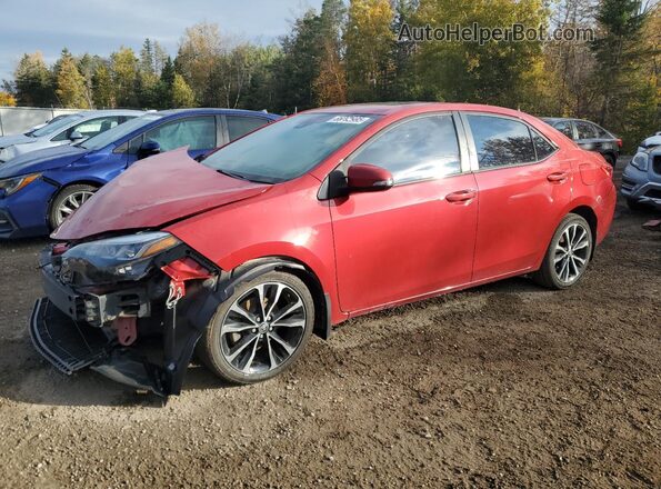 2T1BURHE5KC173460 2019 TOYOTA LL Красный Передняя левая четверть