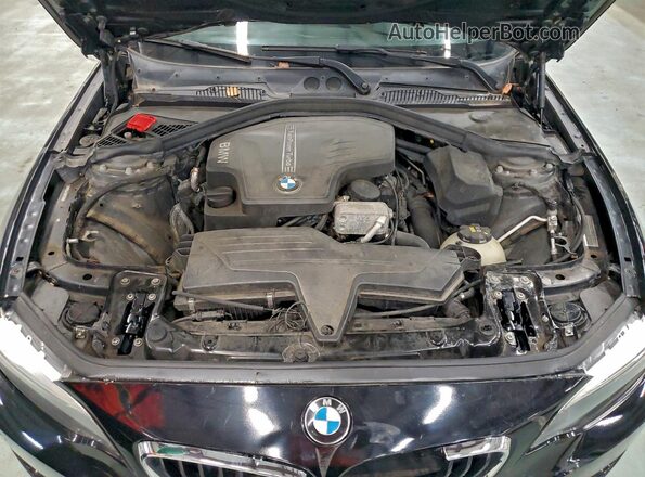 WBA1G9C51GV599786 2016 BMW OTHER Черный Вид подкапотного пространства